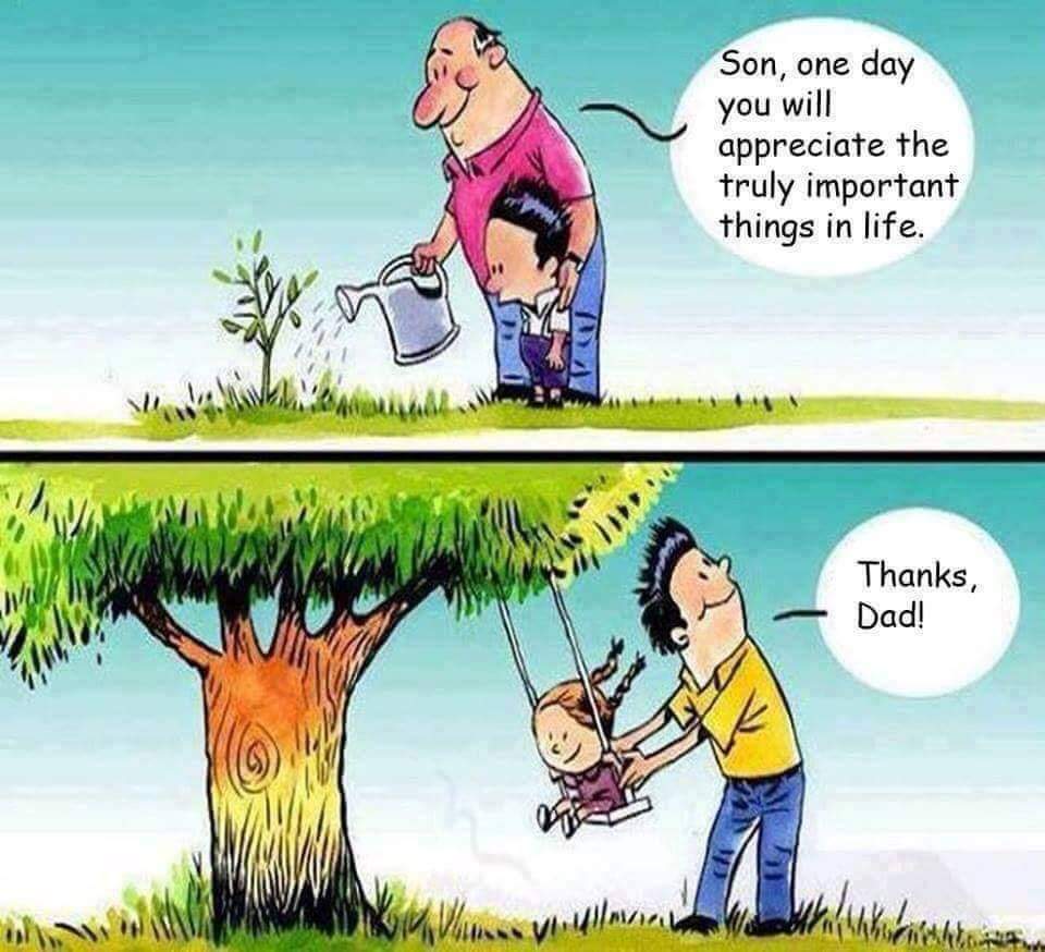 ds palai cartoons 30 27
