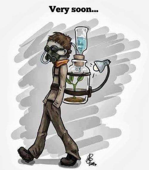 ds palai cartoons 30 29