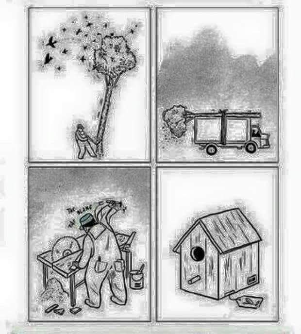 ds palai cartoons 30 39