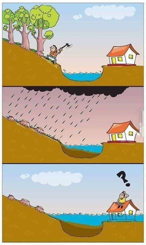 ds palai cartoons 30 43